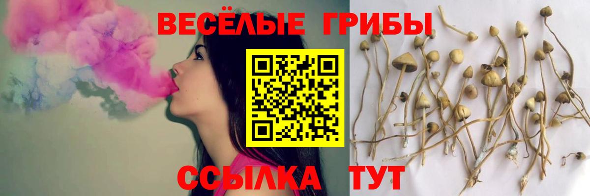 где купить наркоту  Галлюциногенные грибы Magic Shrooms  Великий Устюг  Вход с VPN  Галлюциногенные грибы Cubensis 